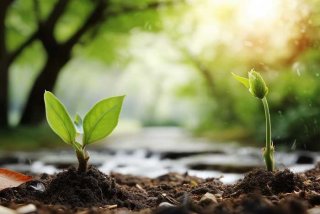 生活周期什么意思，什么是生活周期