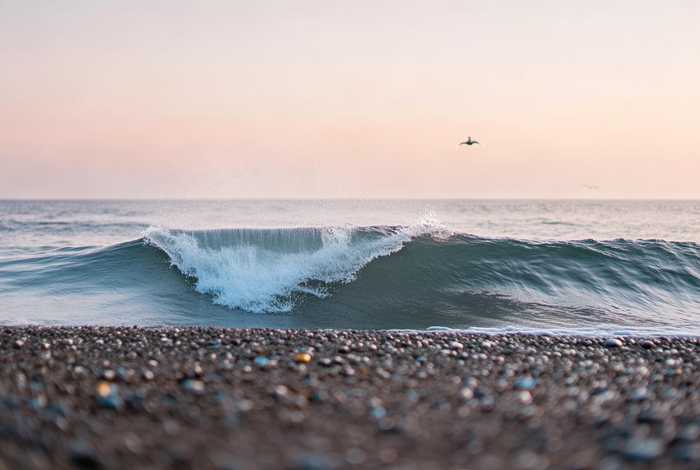 生活中的一朵小浪花作文500字(生活中的一朵小浪花作文500字左右) 生活中的一朵小浪花作文500字(生活中的一朵小浪花作文500字左右)
