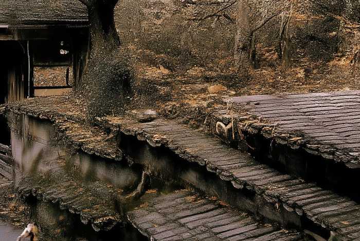 生活用文言文怎么说呢（生活用文言文怎么说呢怎么写）