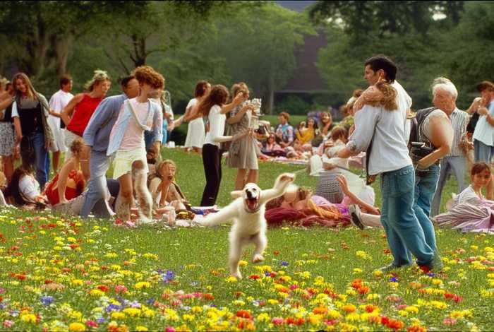 生活如此美好电影片段、生活如此美好电影片段介绍