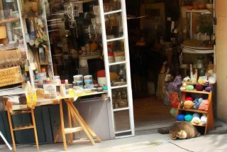 生活杂货 - 生活杂货铺图片