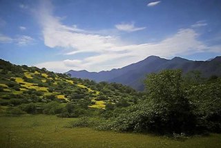 生活在明朝小说简介；生活在明朝小说简介50字