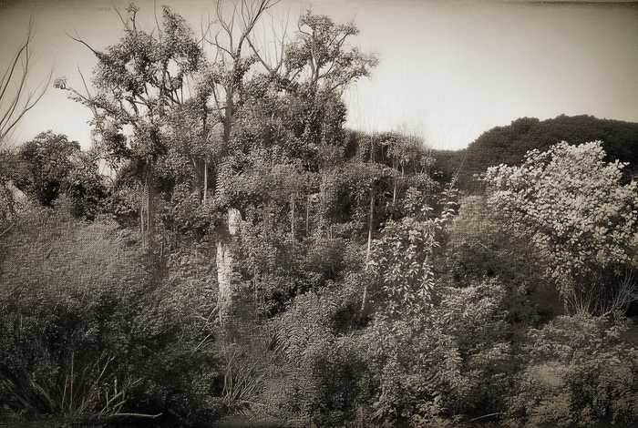 嫂子生活过得日子 嫂子生活过得日子怎么样