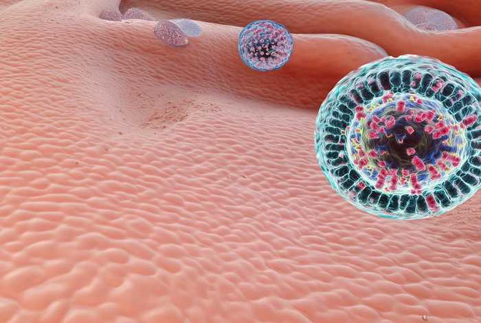 生殖疱疹是因什么引起、生殖疱疹是因什么引起图片 生殖疱疹是因什么引起、生殖疱疹是因什么引起图片