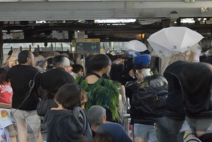 七星瓢虫习性20字 - 七星瓢虫有什么特点 20个字