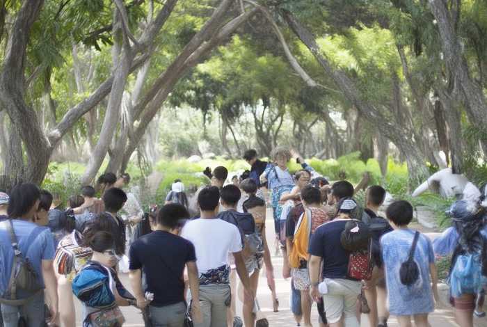 描写乡村生活的优美段落，描写乡村生活的优美段落100字