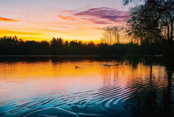 生活像什么比喻句简短（生活像什么比喻句简短一点）