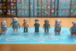 生活周期名词解释遗传 - 生活周期名词解释遗传学