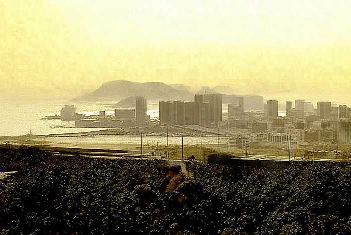 生活中美的事物50字（生活中美的事物50字作文）