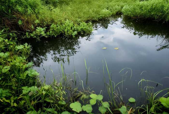 生活犹如一潭死水,激不起半点涟漪；生活犹如一潭死水,激不起半点涟漪下一句