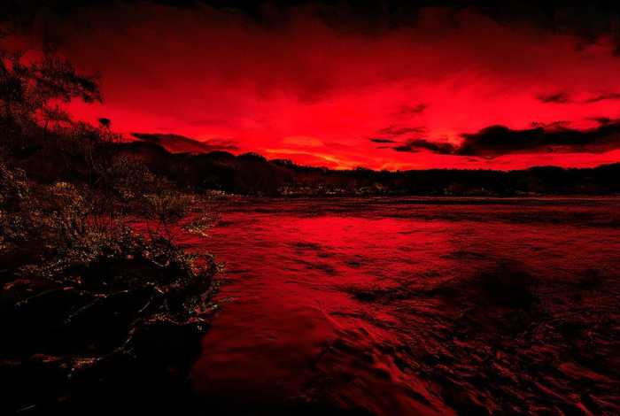 七星瓢虫的特点一句话 - 七星瓢虫的特点介绍一句话