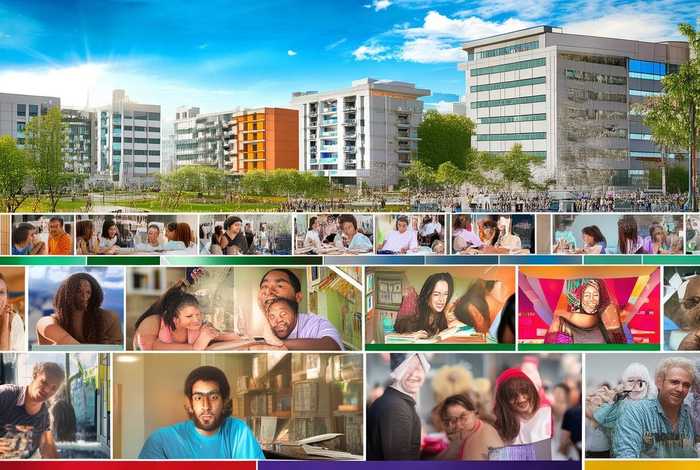 生活是丰富多彩的作文大学 - 生活是丰富多彩的作文大学生