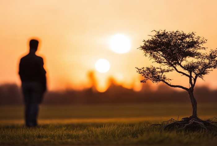 生活教会我们珍惜、生活教会我们珍惜的句子