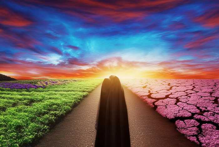 你欺骗生活 - 生活欺骗了你还是你欺骗了生活 你欺骗生活 - 生活欺骗了你还是你欺骗了生活