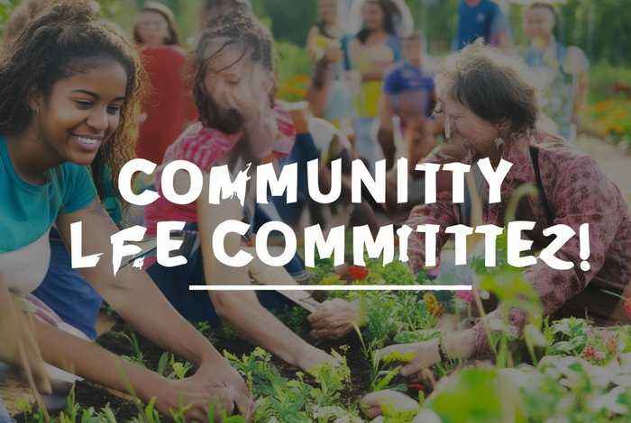 生活委员的工作计划和感想50字（生活委员的工作计划和感想50字怎么写）