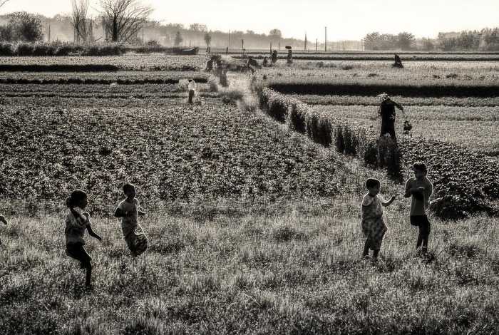 生活和日子有什么区别，生活和日子有什么区别英语