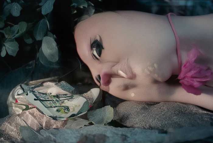 生活中需要宽容议论文800字（生活需要宽容议论文800字作文）