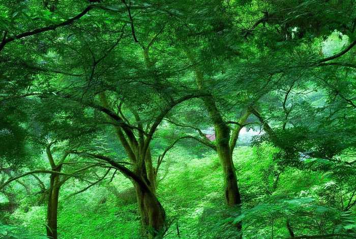 南京大学校园生活 南京大学校园生活体验