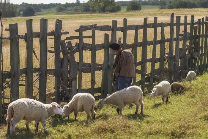 生活中亡羊补牢的事例或者是现象，生活中亡羊补牢的事例或者是现象的例子