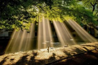 生活中的射线（生活中的射线例子10个）