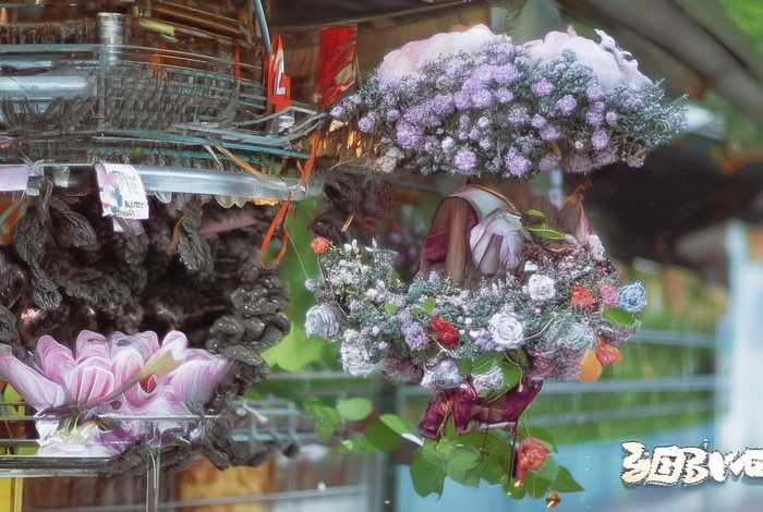 生活化语文教学-连接课堂与生活的策略研究 - 生活化课堂在语文教学中的运用