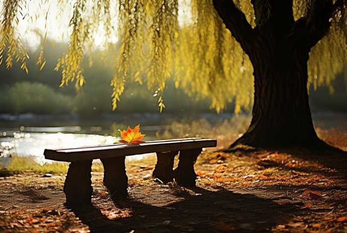 生活很苦很累诗意的句子（生活很苦很累诗意的句子说说）