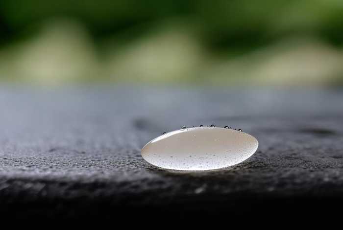 日常生活中1克的物品 日常生活中1克的物品图片