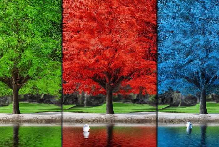 三味人生是指什么、三味人生是什么意思