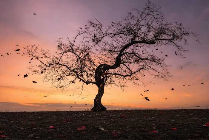 失败是生活的常态作文；失败是生活的常态作文素材