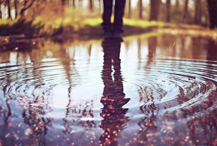 生活好比一场梦经典语录、生活好比一场梦经典语录摘抄