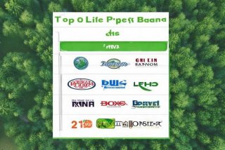 生活纸品牌十大排行榜，生活纸品牌十大排行榜有哪些