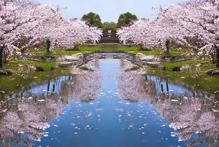 生活中对称的东西有什么，生活中对称的东西有什么图片