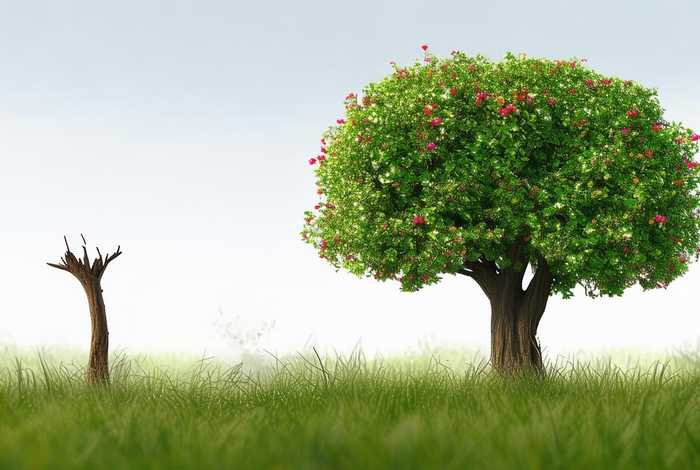 生活和生命的区别是什么英文,生活和生命的区别是什么英文翻译 生活和生命的区别是什么英文,生活和生命的区别是什么英文翻译