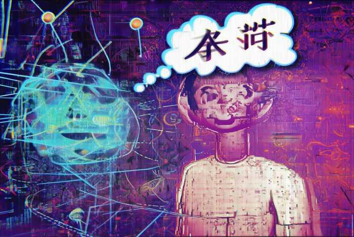 明白生活是什么意思；明白生活是什么意思网络用语