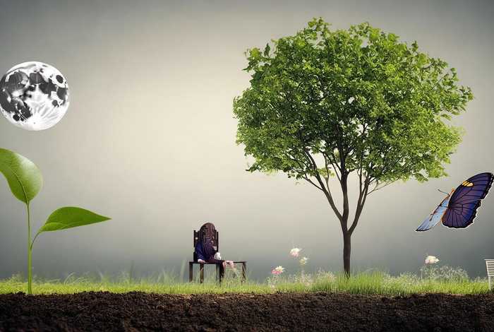 生活周期规律有哪些；生活周期规律有哪些方面