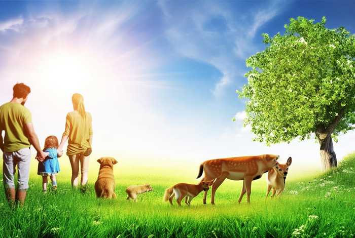 生活的要素有哪些方面（生活的要素有哪些方面呢）