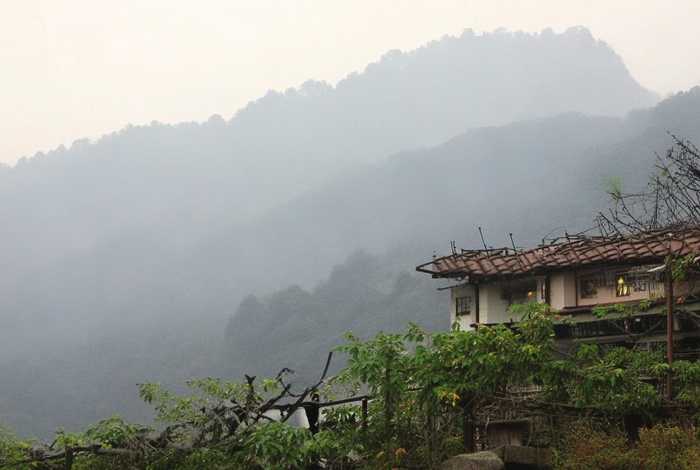 潘晓婷身高（潘晓婷身高到底有多高）