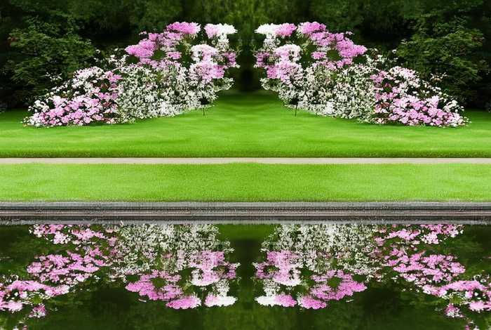 生活中对称的东西是什么（生活中对称的东西是什么意思）