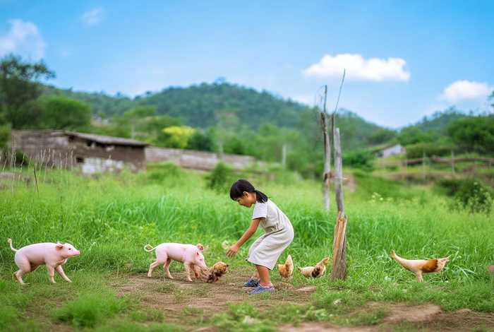 农村小爽的日常、小爽的农村事 农村小爽的日常、小爽的农村事