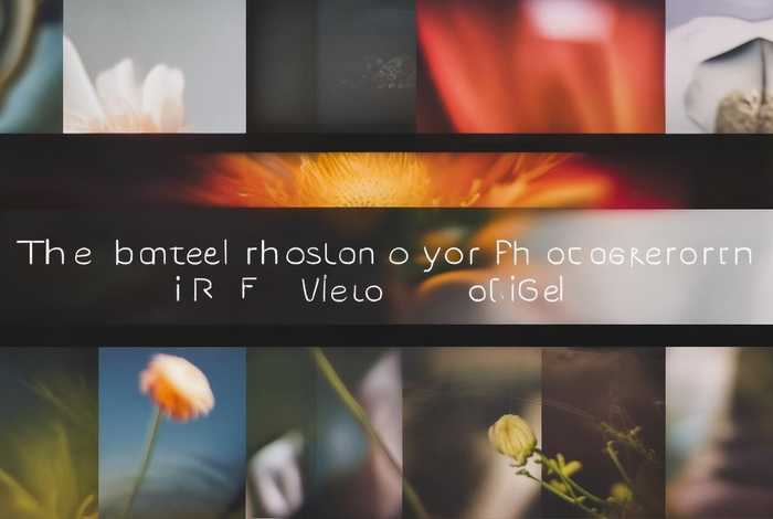 摄影作品集 - 个人摄影作品集