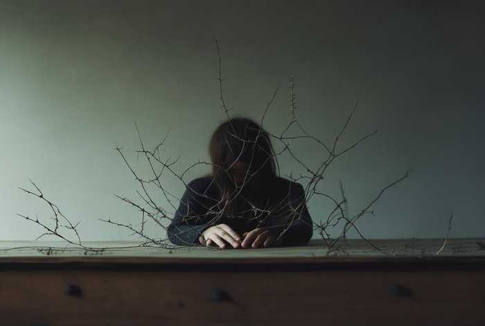 平淡生活里的刺独白（平淡日子里的刺独白）