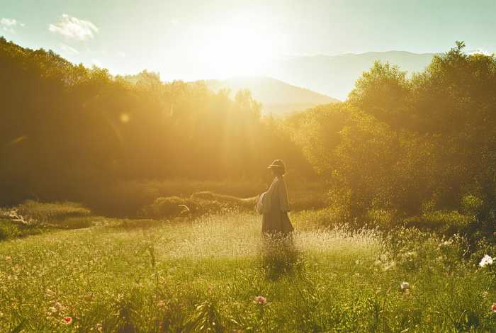 沈从文到阳光里生活的经典句子、到阳光下去生活沈从文