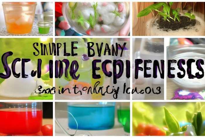 生活中的小实验有哪些简单、生活中的小实验有哪些简单图片大全