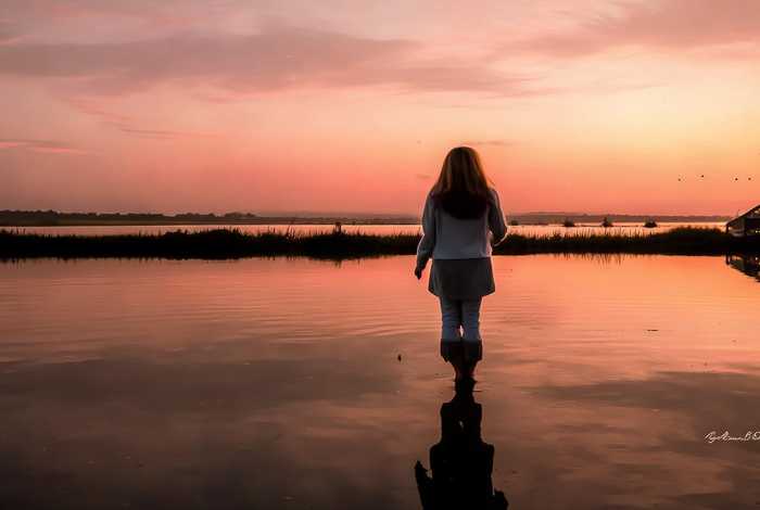 生活教会了我_，生活教会了我____作文450字