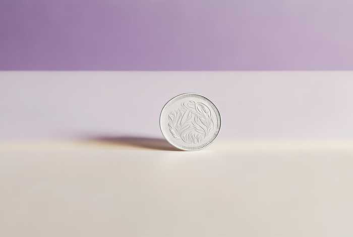 生活中1分米的物品有哪些图片简单 生活中1分米的物品有哪些图片简单又漂亮 生活中1分米的物品有哪些图片简单 生活中1分米的物品有哪些图片简单又漂亮