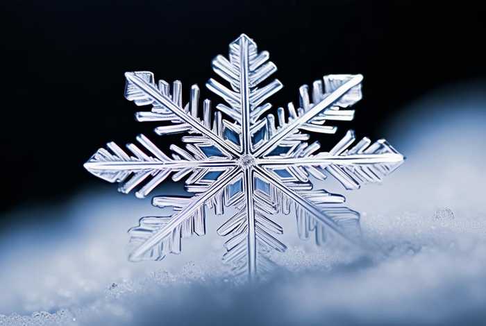 生活中1毫米的物品图片有哪些、生活中1毫米的物品图片有哪些呢