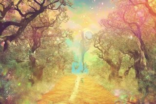 生活好比一场梦作文400字，生活好比一场梦作文400字怎么写