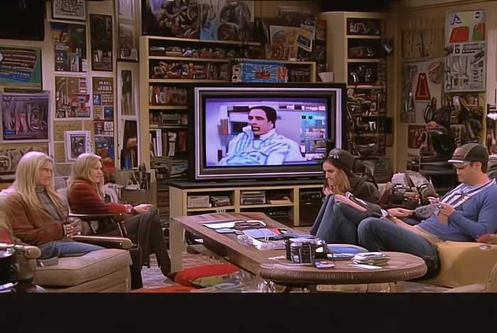 生活大爆炸第一季在线 生活大爆炸第一季在线观看免费完整版