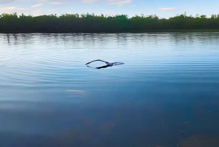 生活的波澜不惊，生活的波澜不惊什么意思