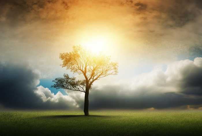 生活有阳光和乌云、生活有阳光和乌云的句子